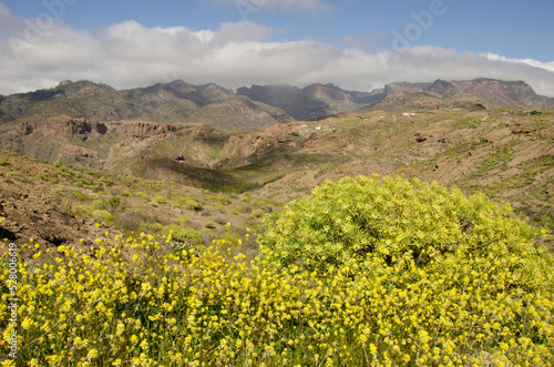 Rough landscape in the southwest of Gran Canaria. Canary Islands. Spain.