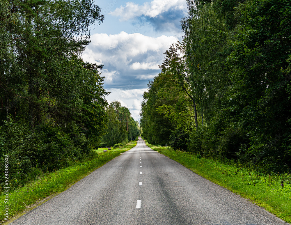 Fototapeta premium Endless asphalt road. Location Latvia near Estonia border.