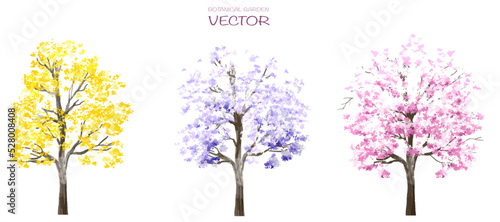 Vector watercolor blooming flower tree or forest side view isolated on white background for landscape and architecture drawing,elements for environment or and garden,botanical for section in spring   