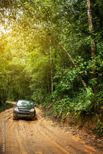Dirt road or mud road and rain forest