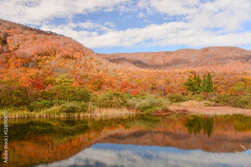 紅葉に染まる木々 湖 池