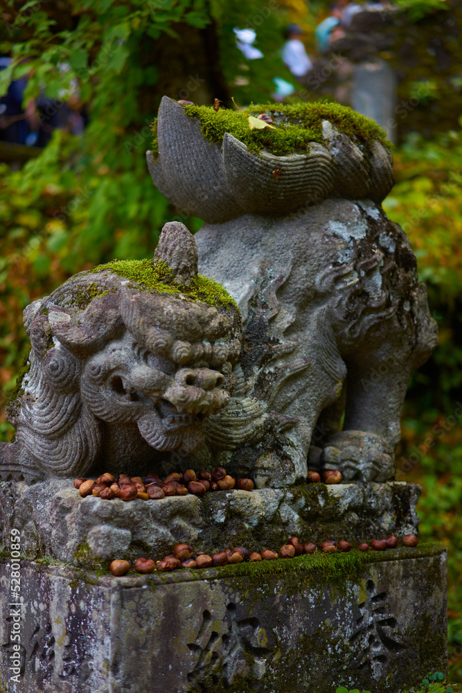stone lion statue in the temple