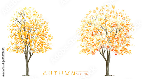 Vector watercolor blooming flower tree or forest side view isolated on white background for landscape and architecture drawing,elements for environment or and garden,botanical for section in autumn   