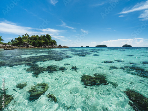 Fototapeta Naklejka Na Ścianę i Meble -  Scenic view of Koh Rokroy Island shallow crystal clear turquoise sea water with coral reef transparent against summer blue sky. Near Koh Lipe Island, Tarutao National Marine Park, Satun, Thailand.