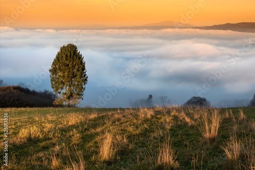 A foggy, autumn morning in the Pieniny Mountains with a view of the Babia Góra.
Mglisty, jesienny poranek w Pieninach z widokiem na Babią Górę.  photo