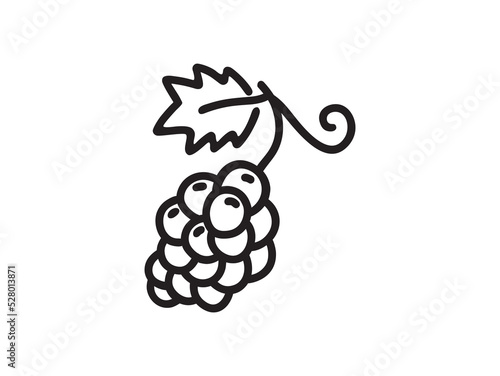 grapes fruit line icon. line hand drawn vector.