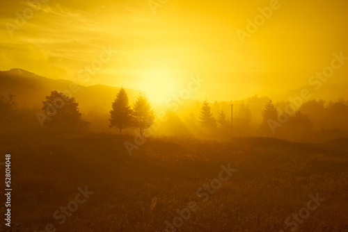 Beautiful sunrise in the mountains, coniferous trees, and fog. Ukraine. The Carpathians. Travels. Rest in nature. Nature. © vallerato