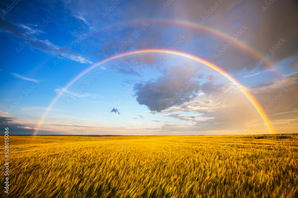 Tranquil agricultural landscape with a magical rainbow at sunset. Ukraine, Europe. Tranquil agricultural landscape with a magical rainbow at sunset. Ukraine, Europe.