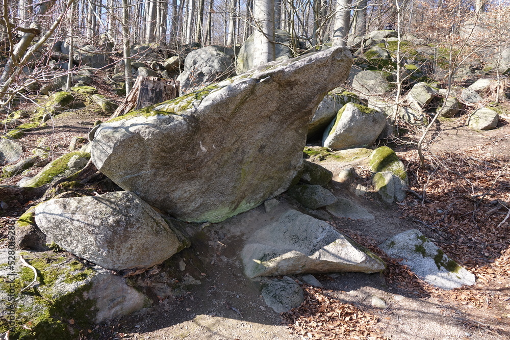 Obraz premium Felsenmeer bei Reichenbach
