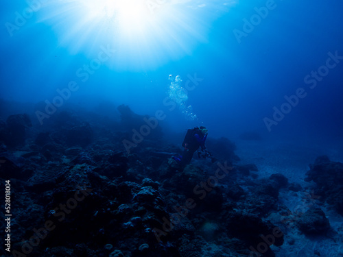 Wallpaper Mural Divers and deep seascape of Reunion island Torontodigital.ca