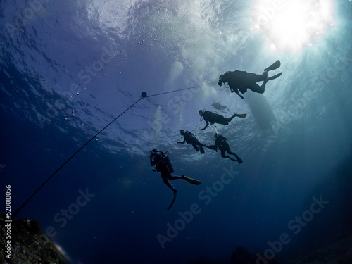 Divers and deep seascape of Reunion island