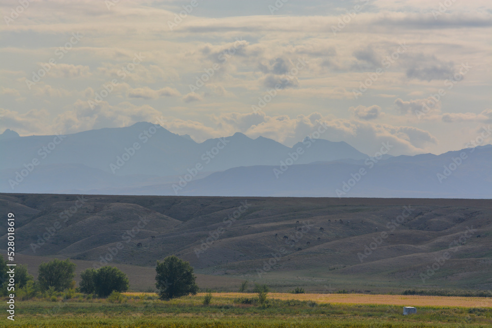 Obraz premium Alatau Zhetysu mountains and hills. End of summer. Cloudy day. Kazakhstan.