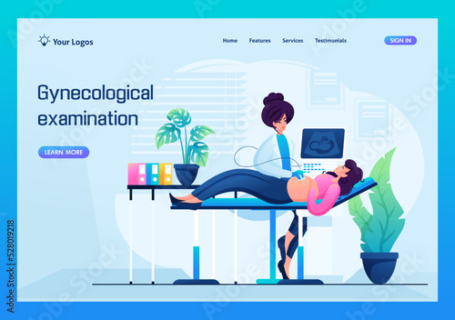 Gynecologist woman will make an examination of a pregnant woman on an ultrasound machine. Concept for landing page