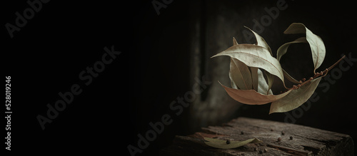 Fototapeta Naklejka Na Ścianę i Meble -  Art autumn still life of dried branch with bay leaves and spices in a rustic style on a dark wooden background. Autumnal composition for Thanksgiving Day