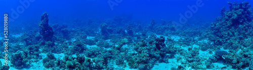 Underwater panorama photo of coral reef 