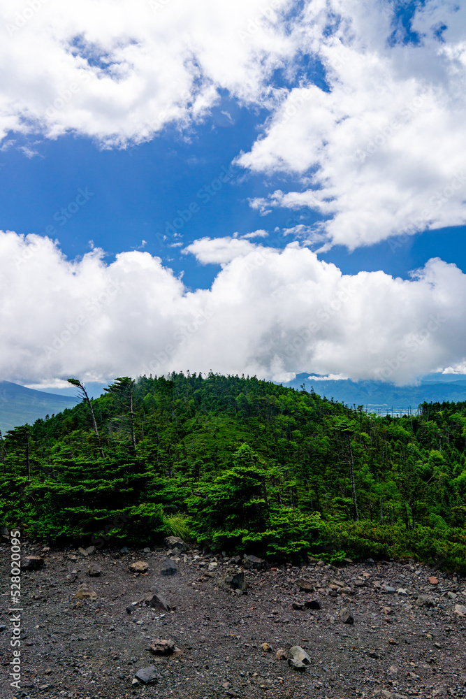 Obraz premium 北八ヶ岳 北横岳の北峰からの眺望