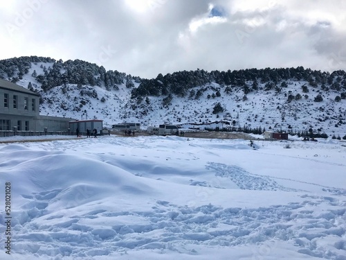 Snow-Covered Landscape with Mountain View and Clear Sky