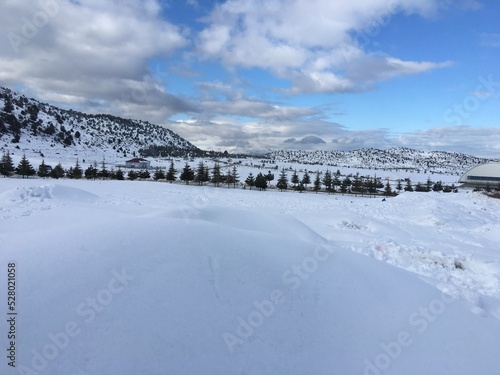 Snow-Covered Landscape with Mountain View and Clear Sky