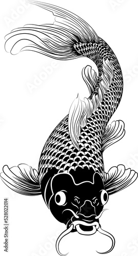 Kohaku koi carp fish illust...