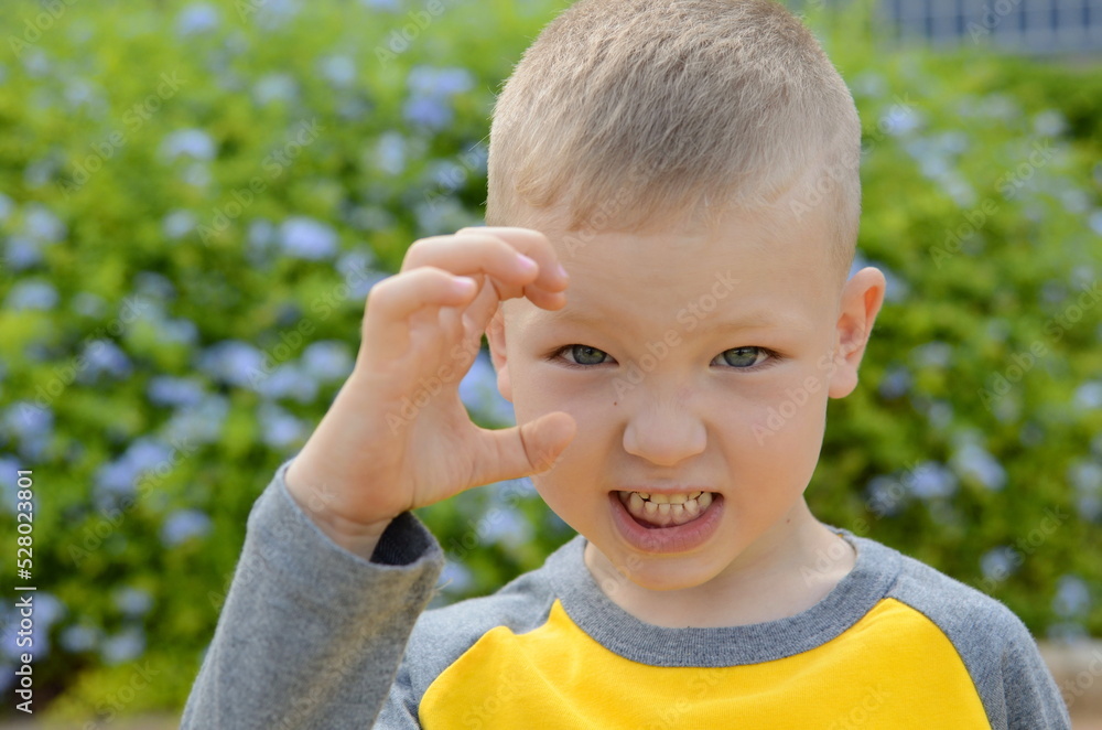 Portrait of a boy, five years old. school age child. Children's emotions on the face, joy, surprise, interest. Close-up, cute boy, blue eyes. blue flowers in the background Portrait of a boy, five years old. school age child. Children's emotions on the face, joy, surprise, interest. Close-up, cute boy, blue eyes. blue flowers in the background