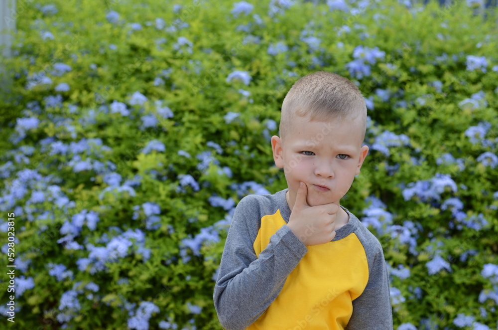 Portrait of a boy, five years old. school age child. Children's emotions on the face, joy, surprise, interest. Close-up, cute boy, blue eyes. blue flowers in the background Portrait of a boy, five years old. school age child. Children's emotions on the face, joy, surprise, interest. Close-up, cute boy, blue eyes. blue flowers in the background