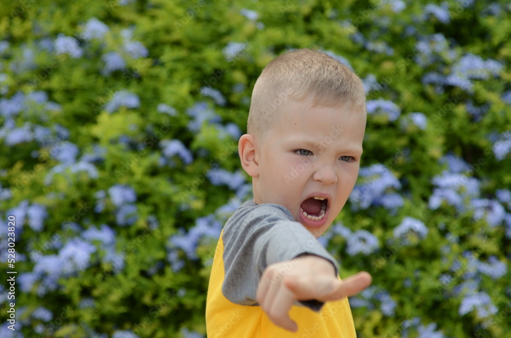 Portrait of a boy, five years old. school age child. Children's emotions on the face, joy, surprise, interest. Close-up, cute boy, blue eyes. blue flowers in the background Portrait of a boy, five years old. school age child. Children's emotions on the face, joy, surprise, interest. Close-up, cute boy, blue eyes. blue flowers in the background