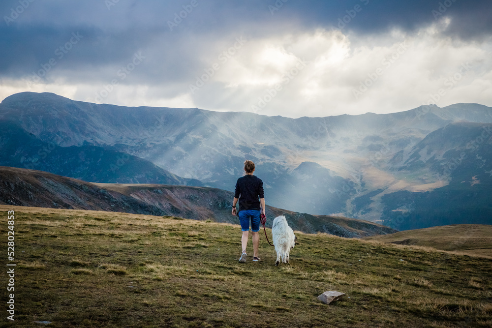 Fototapeta premium woman and dog watching amazing panorama of heavenly lights at sunset in high mountains