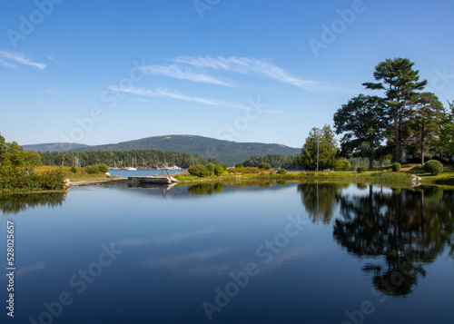 reflection of trees in water