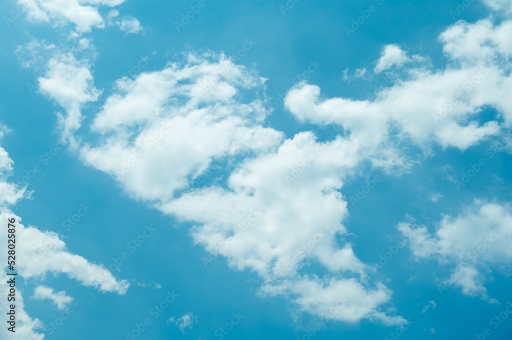 Fototapeta premium 青空と白い雲