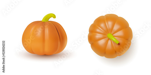 3D realistic pumpkin on a front and a top view. Illustration of an orange vegetable. Isolated vector clipart with a gourd on a white background