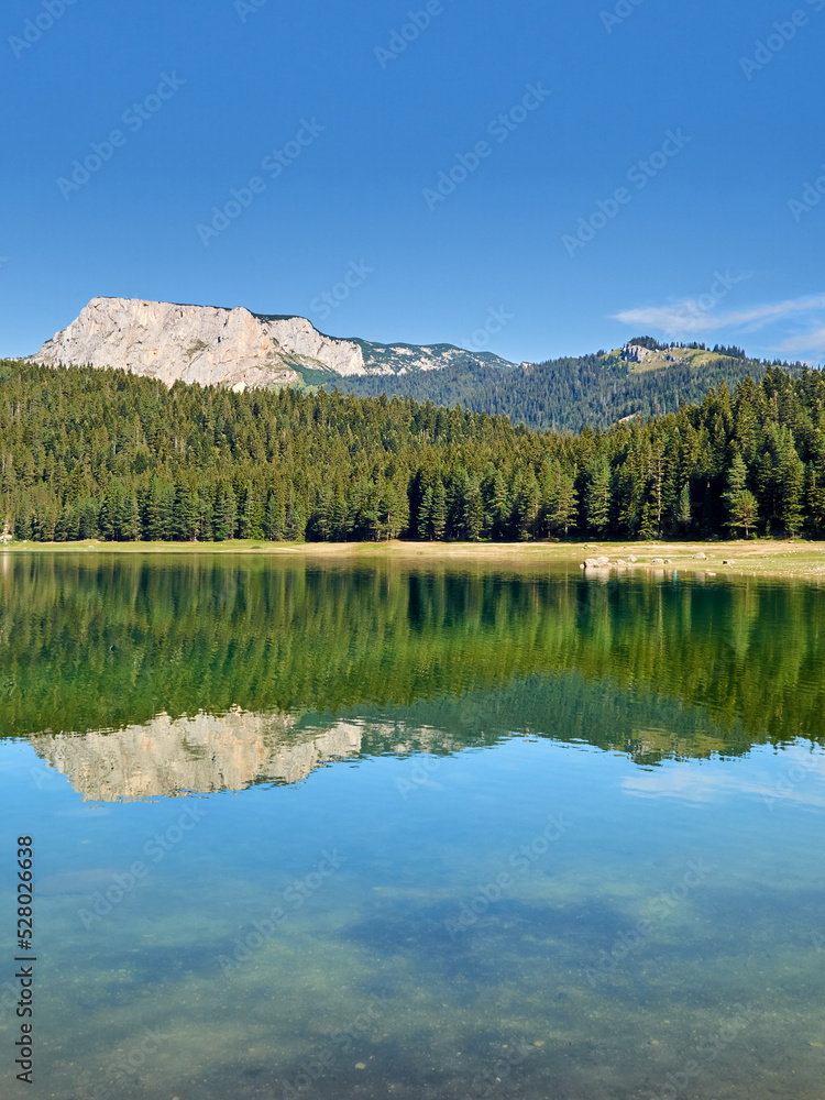 Reflection of the mountain and the trees in Black Lake, Crno Jezero, in Durmitor National Park. Dinaric Alps, Žabljak, Montenegro, Europe