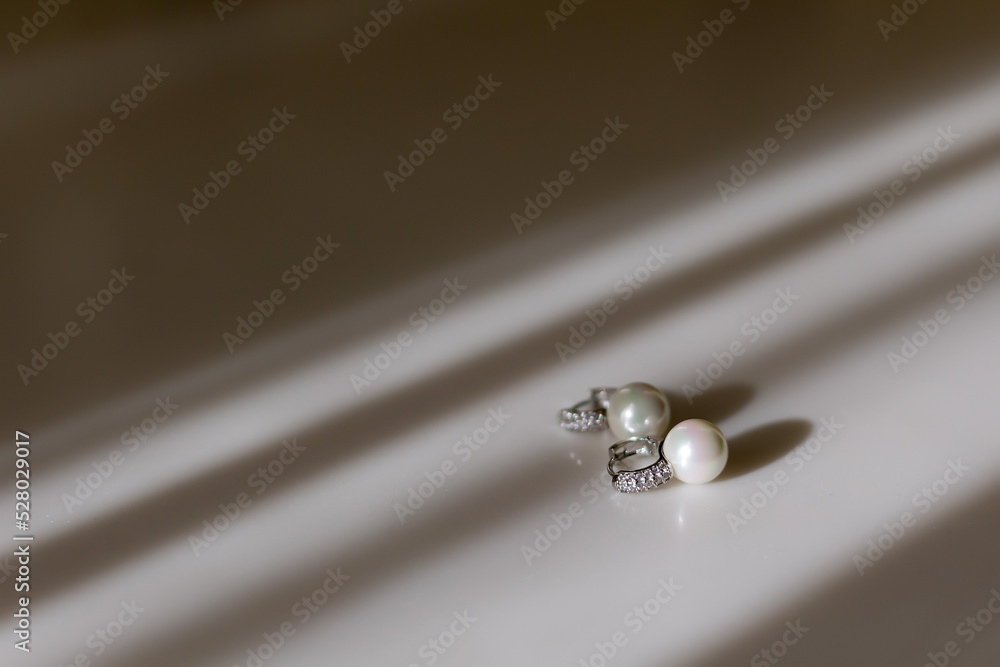 Precious earrings for the bride for the wedding Precious earrings for the bride for the wedding