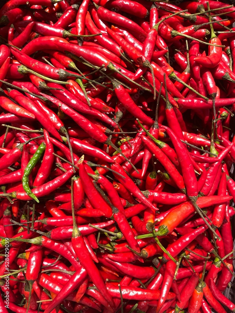 Close-up of a large number of red chili peppers