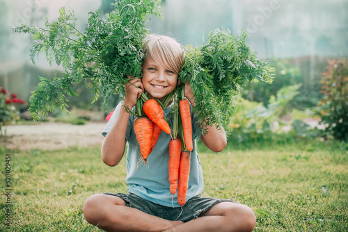 The happy boy is blond, the child holds two bunches of carrots in his hands and smiles, he is sitting in the garden on the grass, on the lawn. It's harvest time!