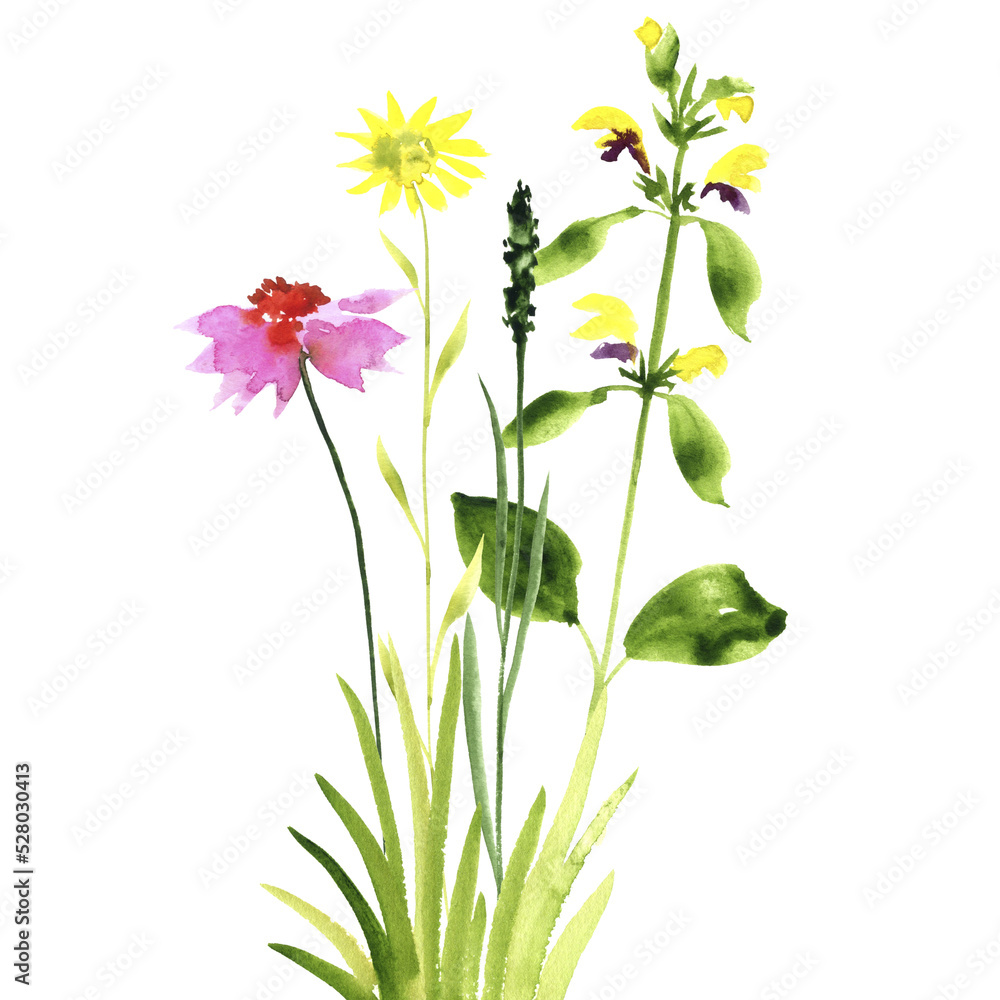 Fototapeta premium watercolor drawing green grass and wild flowers at white background, hand drawn illustration