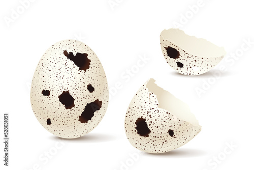 Whole and broken quail eggs set, 3d realistic cracked eggshell pieces of bird egg