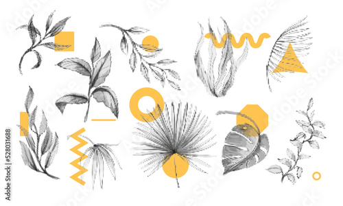 Abstract summer elements, modern shapes. Minimal spring tropical leaf, exotic palm foliage, poster elements, wall art, geometric objects, halftone dot memphis leaves. Vector graphic texture
