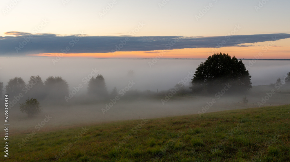Sunrise in the Biebrza National Park. Foggy morning. The sun is shining through the fog. Trees in the fog. September in Podlasie