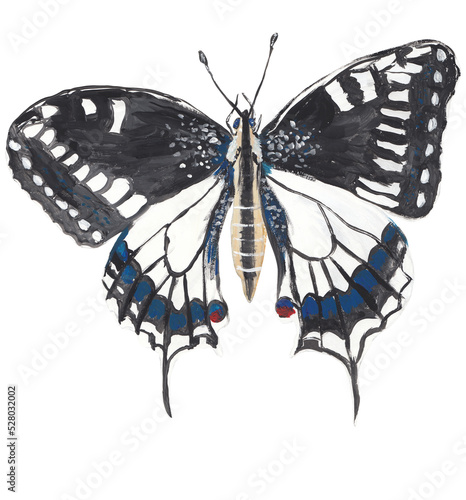 Swallowtail butterfly gouache illustration Hand painted png clipart with transparent background