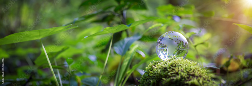 Globe planet glass in green forest with bokeh nature lights. world environment day. concept of environment conservation, protect ecology earth and environmental eco-friendly life banner and copy space Globe planet glass in green forest with bokeh nature lights. world environment day. concept of environment conservation, protect ecology earth and environmental eco-friendly life banner and copy space