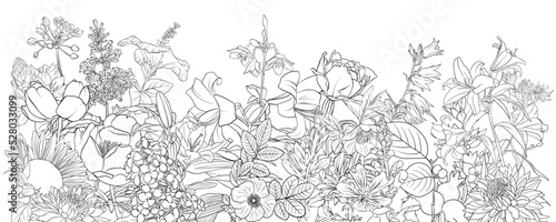 vector drawing natural background with flowers, black and white coloring page, hand drawn illustration