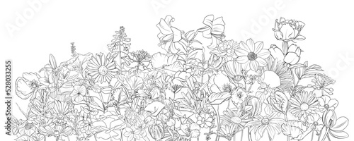vector drawing natural background with flowers, black and white coloring page, hand drawn illustration