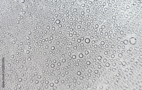  steam bubbles, dew, carbon dioxide