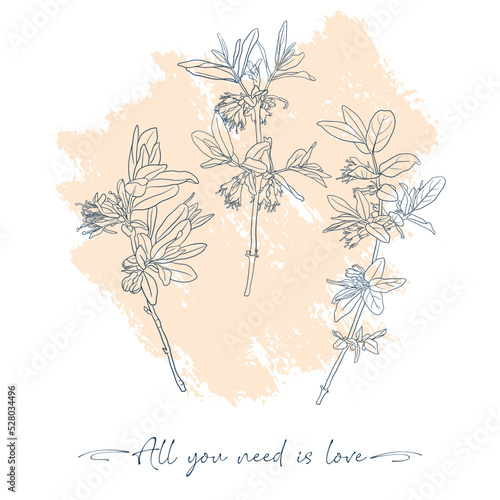 all you need is love slogan with contour sketch of honeysuckle flowers, pastel color print, hand drawn illustration photo