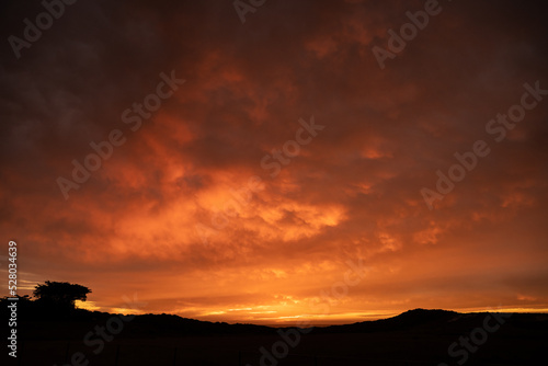 Orange Clouds HIghlighted In Sunset Light From Molera Point