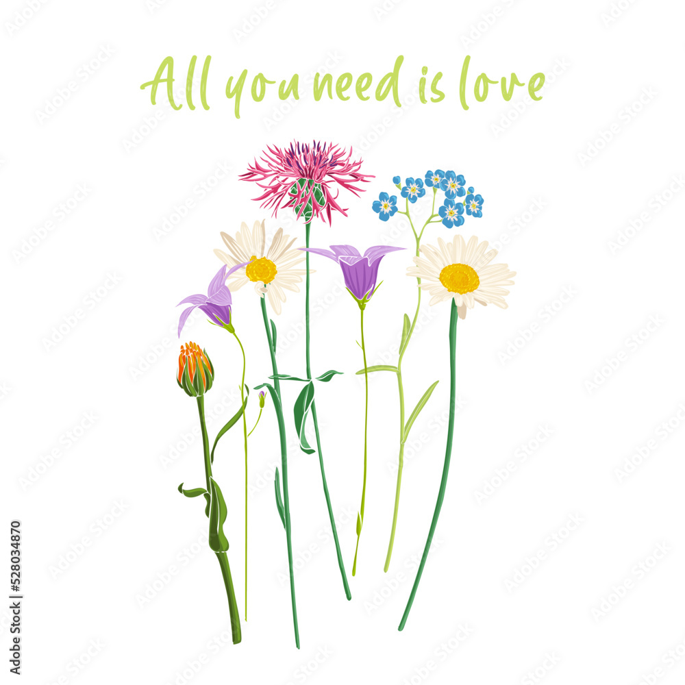All you need is love slogan and bouquet of field flowers, vector drawing wild plants at white background, flowering meadow print, hand drawn botanical illustration
