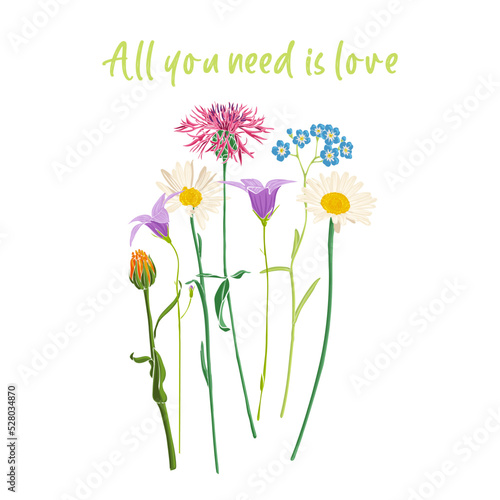 All you need is love slogan and bouquet of field flowers, vector drawing wild plants at white background, flowering meadow print, hand drawn botanical illustration