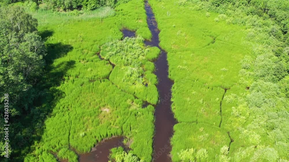 Aerial high angle shot flying over green grass and water in marsh wetland Aerial high angle shot flying over green grass and water in marsh wetland