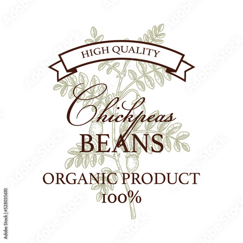 Hand drawn vintage chickpeas logo template. Vector illustration in sketch stile. Botany design isolated on white