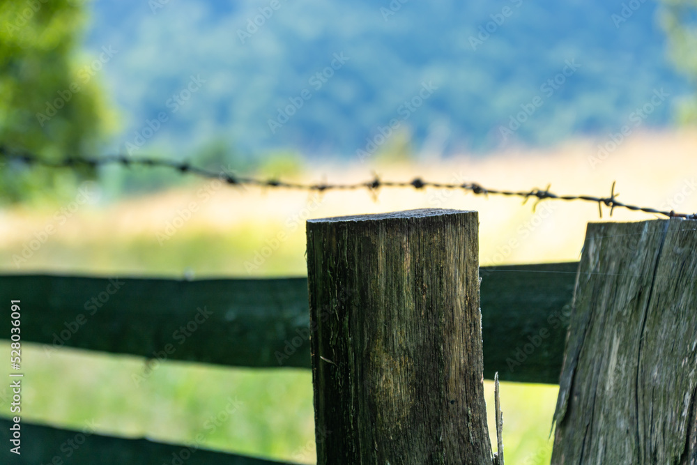 wooden country fence, barbed wire